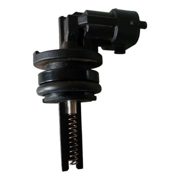 Vela Aquecimento Da Flauta Renault Sandero Logan 3cc