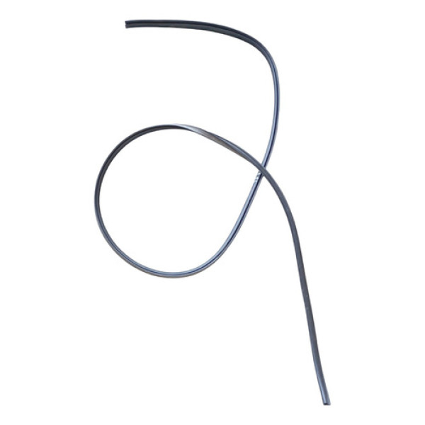 Borracha Teto Esquerdo Peugeot 307