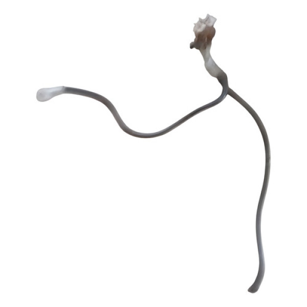 Conector Cabo Chicote Positivo Bateria Citroën C3 2014