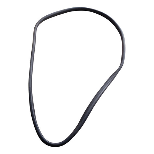 Borracha Porta Traseira Direita Renault Logan 2018 2019