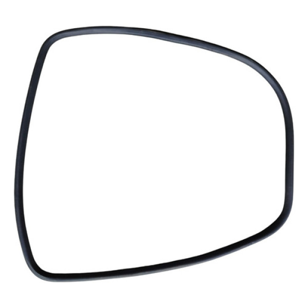 Borracha Vedação Porta Dianteira Esquerda Vw Passat B6 2005 Preto