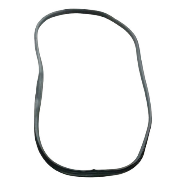 Borracha Porta Traseira Esquerda Renault Sandero 2021