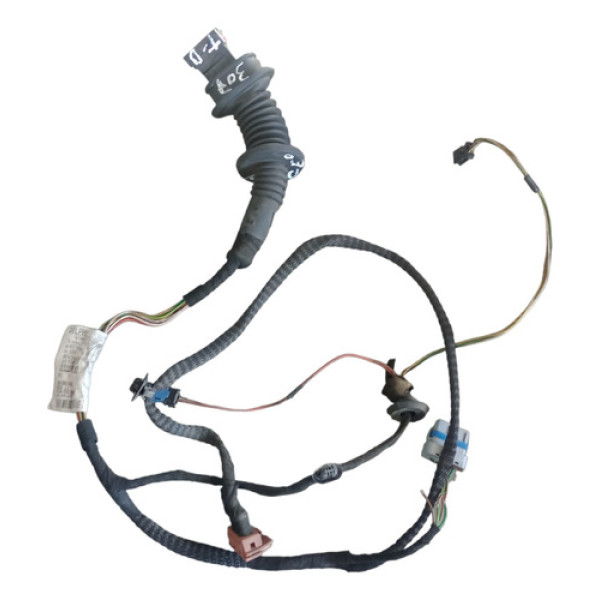 Chicote Porta Traseiro Direito Peugeot 307 2004 A 2020
