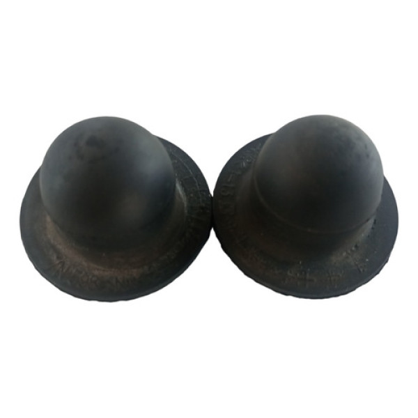 Par Borracha Suporte Reservatório Nissan March 2018