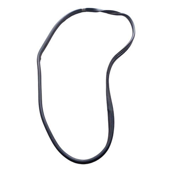 Borracha Porta Dianteira Direita Renault Logan 2021 2022