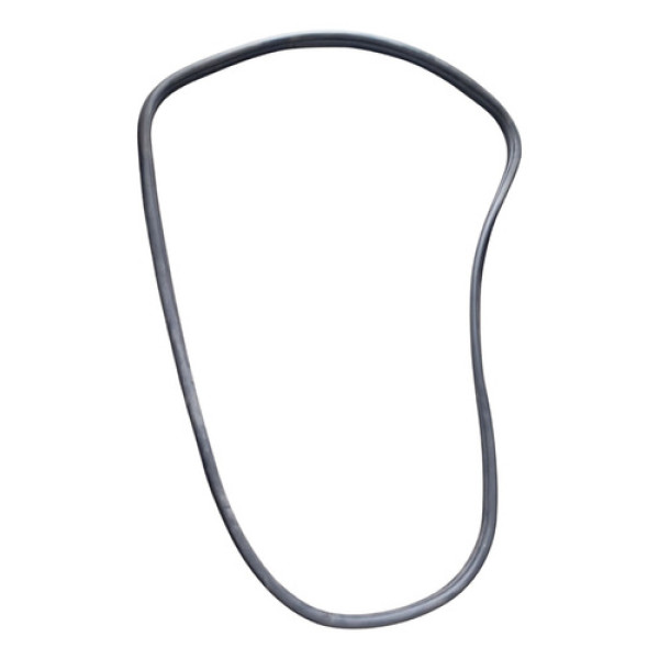 Borracha Porta Traseira Direita Ford Fusion 2008