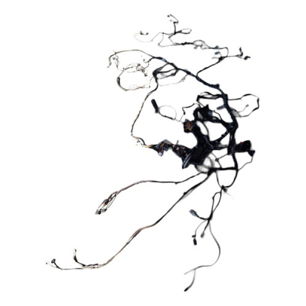 Chicote Renault Sandero 2014 2015 