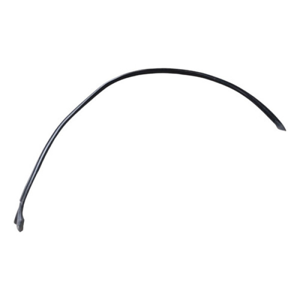 Borracha Teto Direito Renault Clio 2010 2011 7700843233