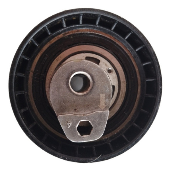 Rolamento Tensor Megane 2.0 16v 