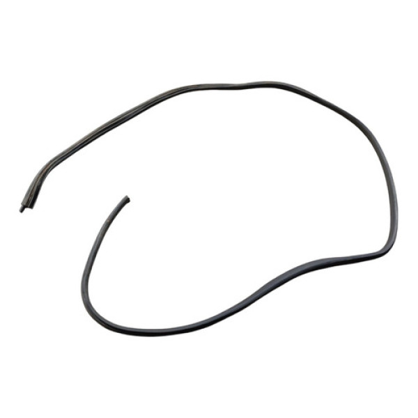 Borracha Porta Traseira Esquerda Renault Logan 2014