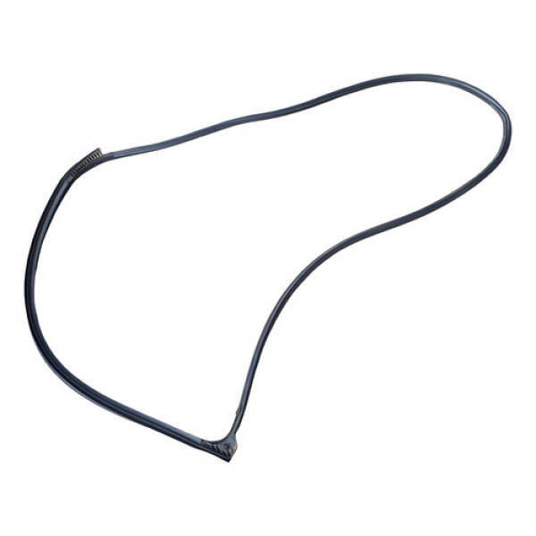 Borracha Vedaçao Porta Traseira Esquerda  Nissan March 2015